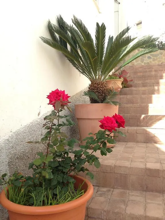 Boutique Hostal 