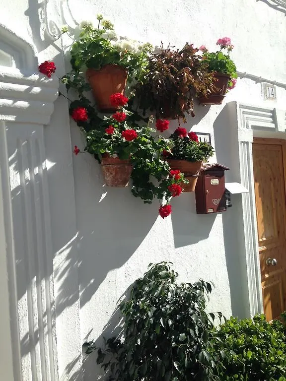 Boutique Hostal 